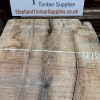 Rippled sycamore 228