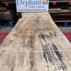 Rippled sycamore 229