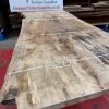 Rippled sycamore 229