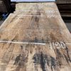 Rippled sycamore 229