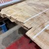 Rippled sycamore 229