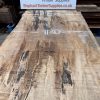 Rippled Sycamore 230