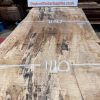 Rippled Sycamore 230