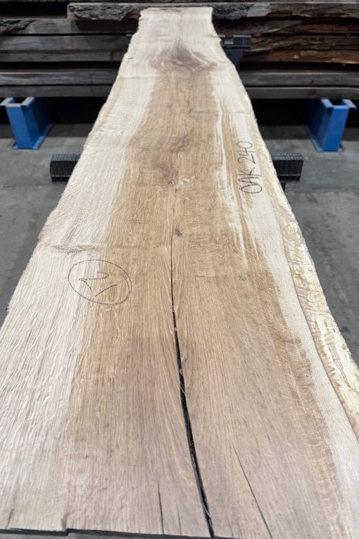 Oak 240