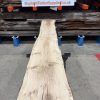 Oak 245