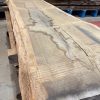 Oak #249