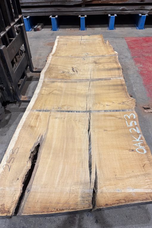 Oak #253