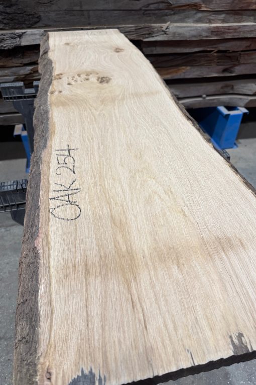 Oak 254