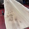 Elm bm pair 279