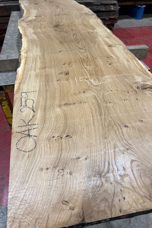 Oak 259