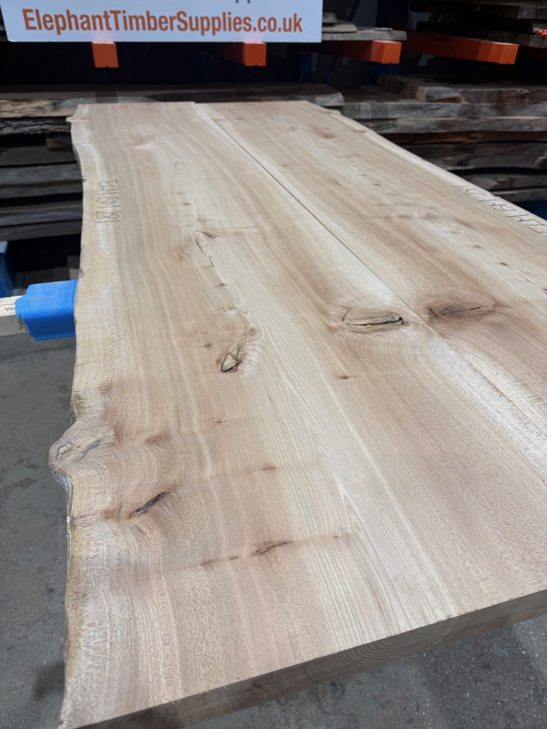 Elm Book matched pair 281