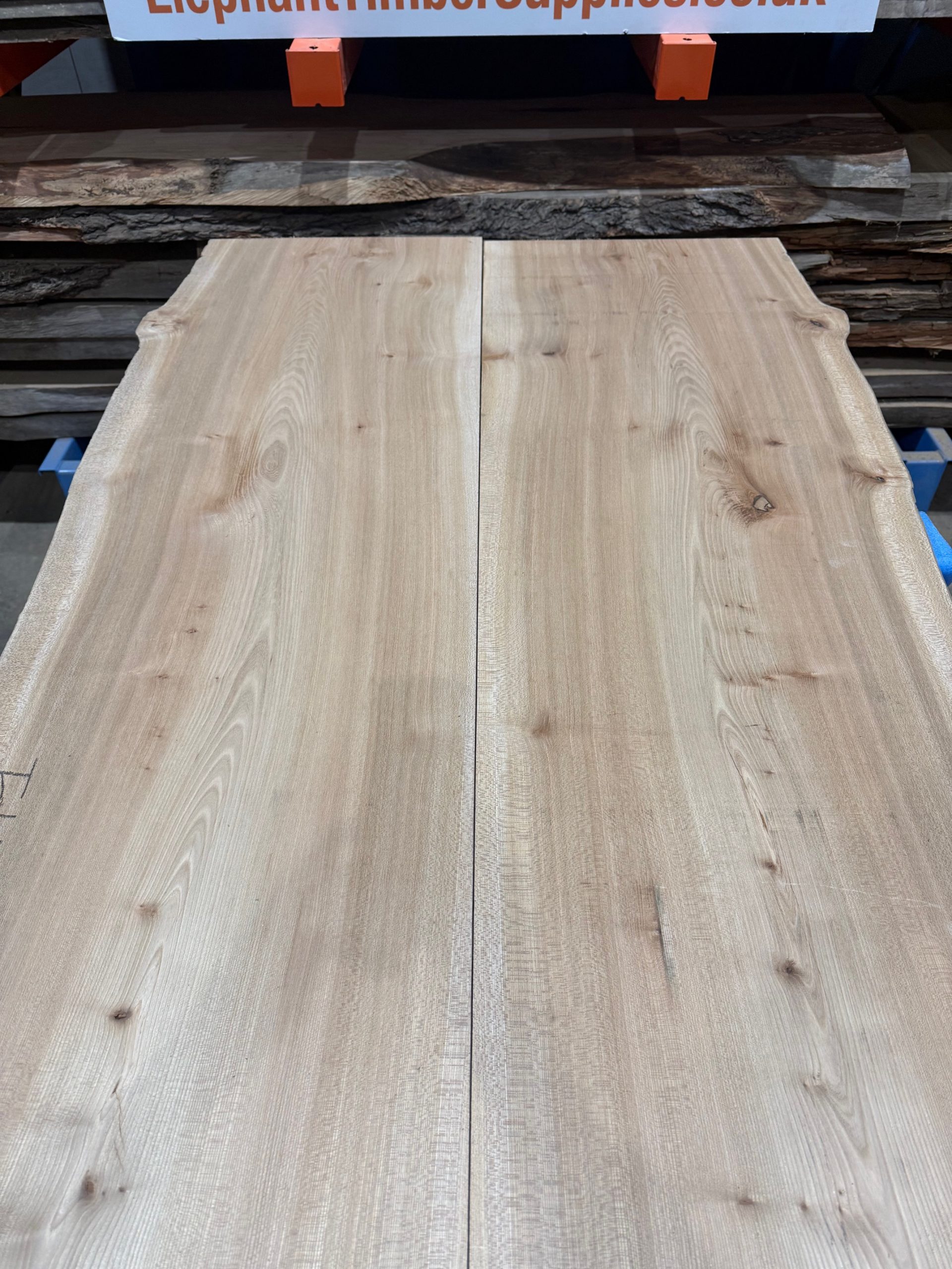 Elm Book matched pair 281