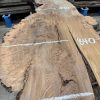 Burr Elm 284