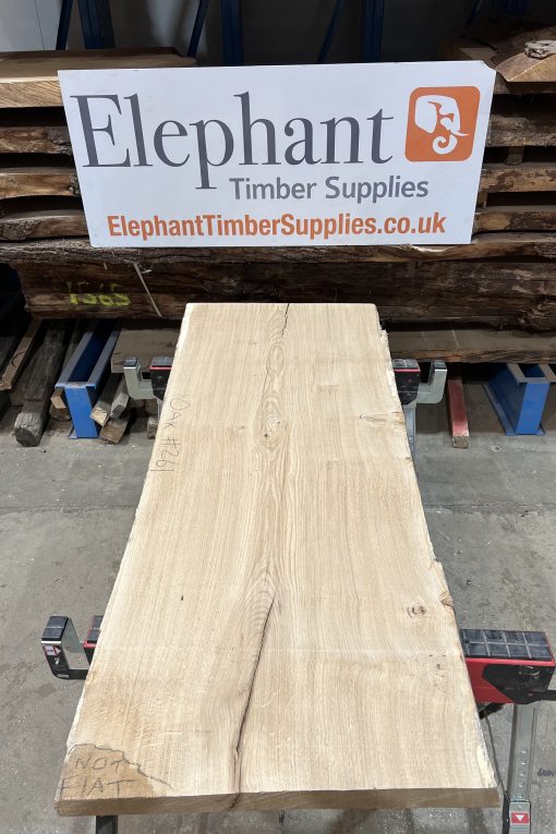 Oak #261