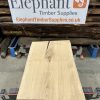 Oak #262