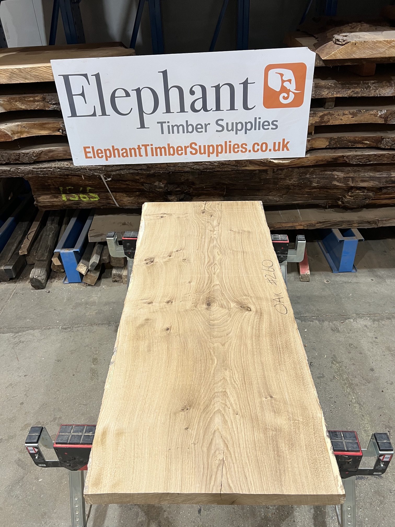 Oak #260