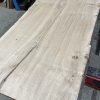 Oak #261
