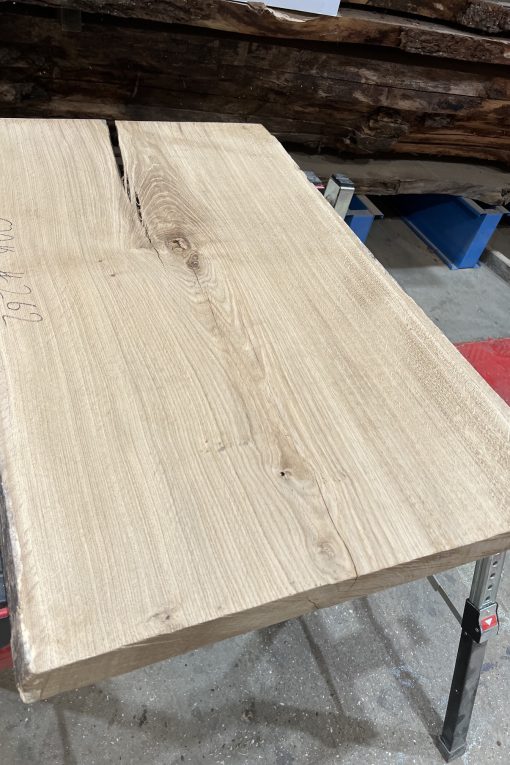Oak #262