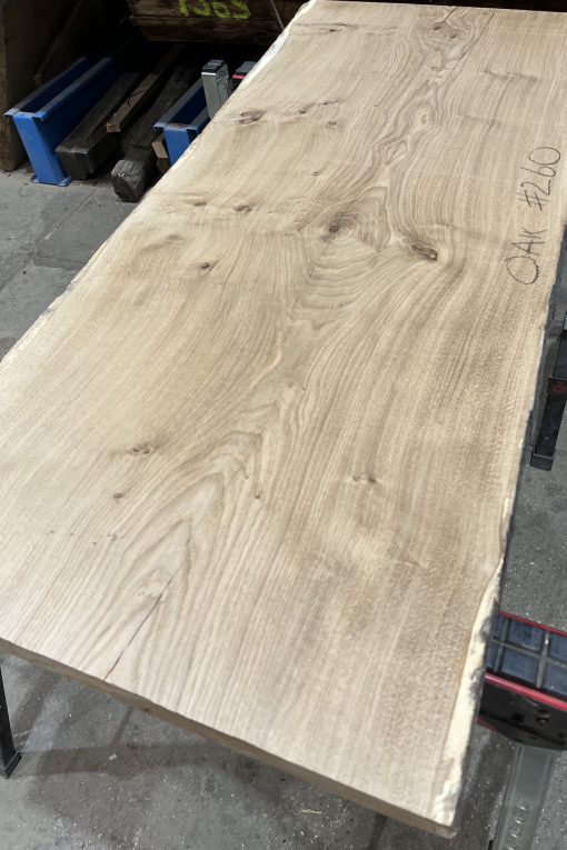 Oak #260