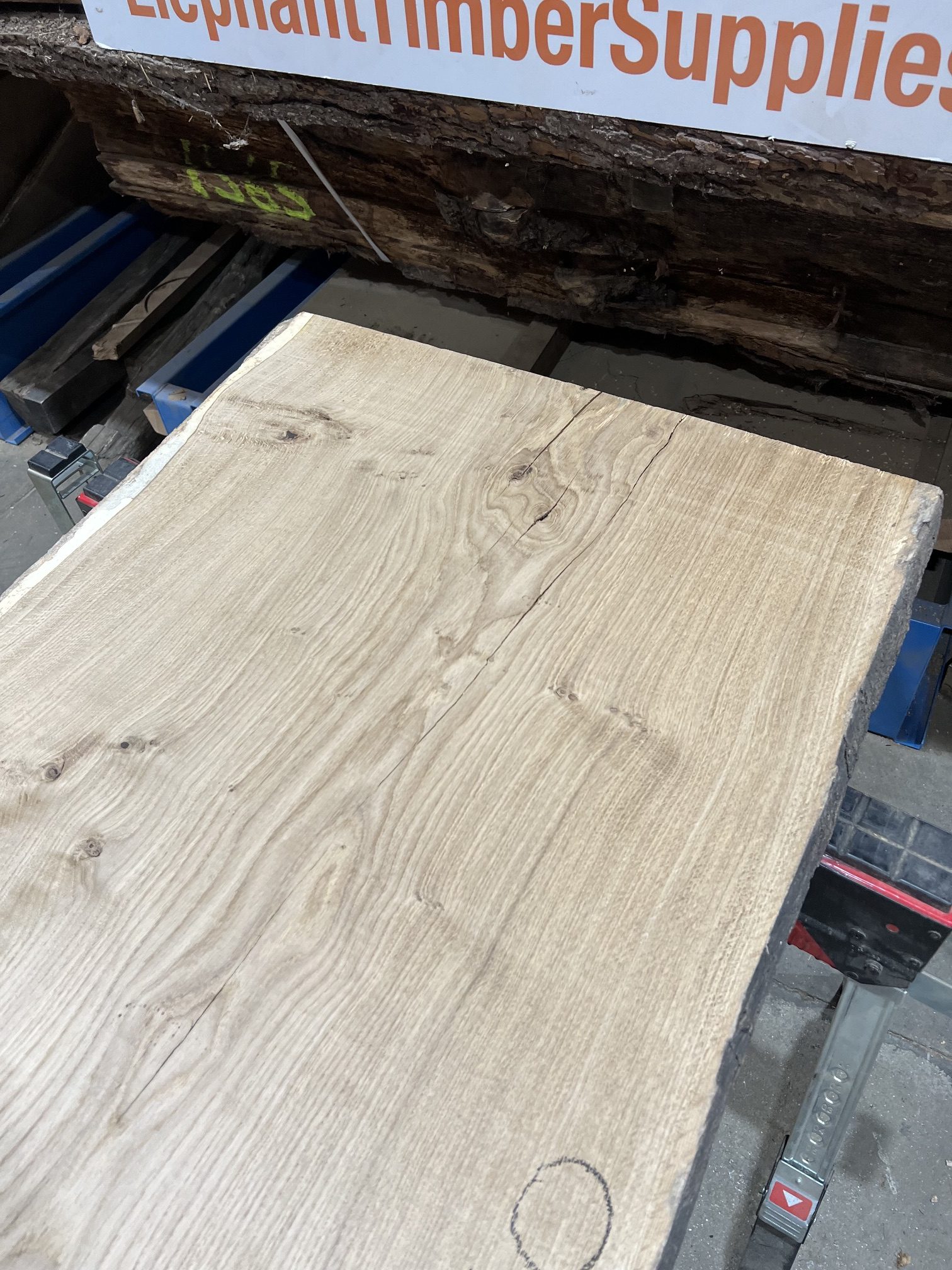 Oak #260