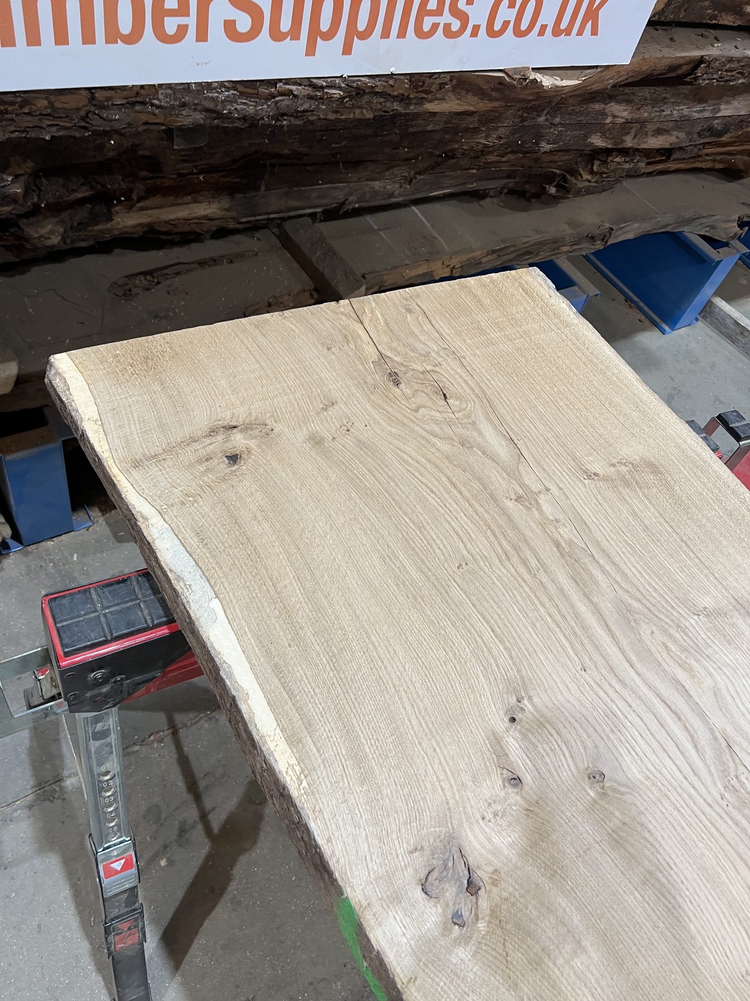 Oak #260