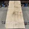 Oak #260