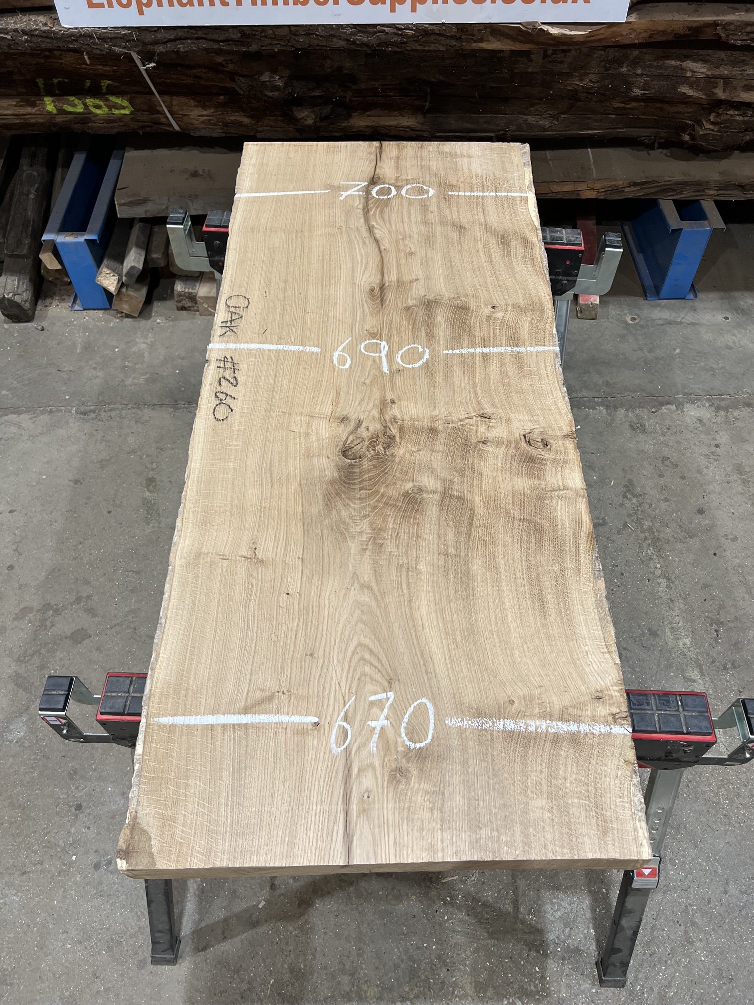 Oak #260
