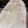 Oak #286