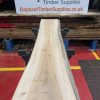 Elm #292