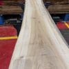 Elm #292