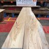 Elm #294