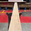 Elm #298
