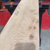 Elm #298