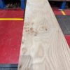 Elm #298