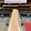 Elm #304
