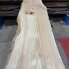 Elm #308