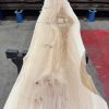 Elm #308