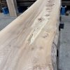 Elm #309