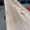 Elm #309