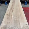 Elm #309