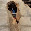 Cedar #212