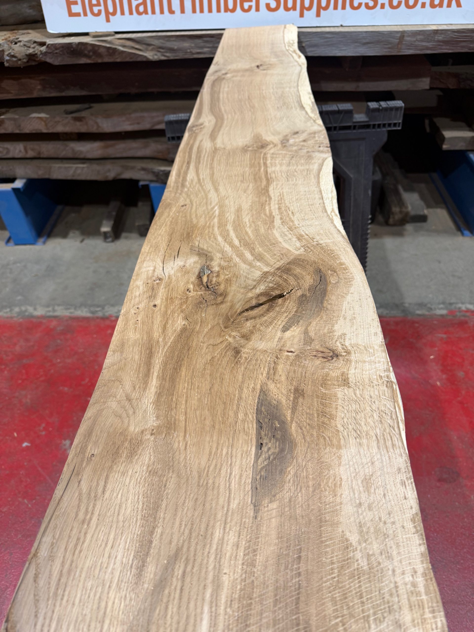 Oak #301