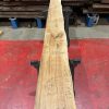 Oak #301