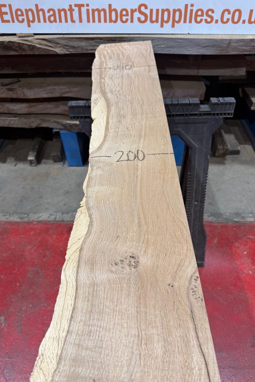 Oak #303