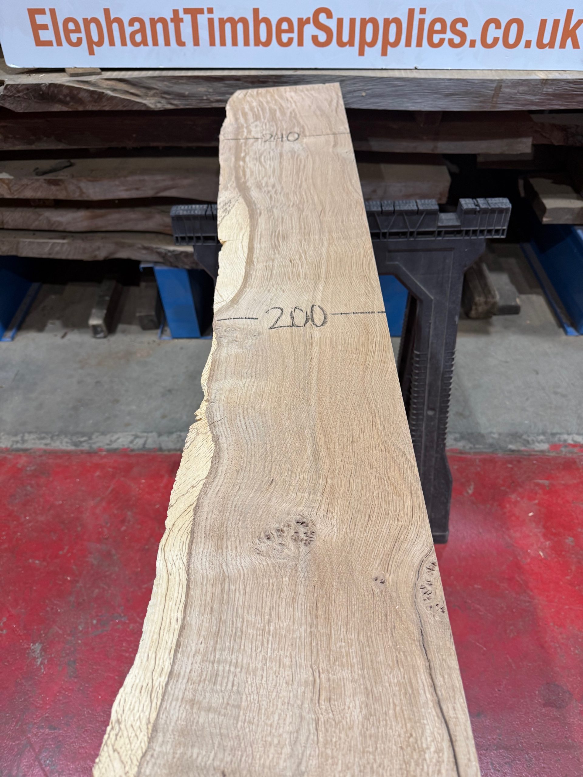Oak #303