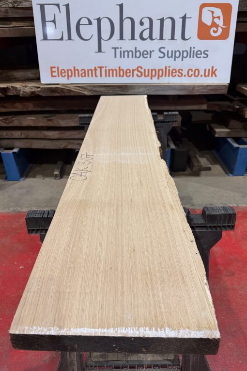 Oak #307