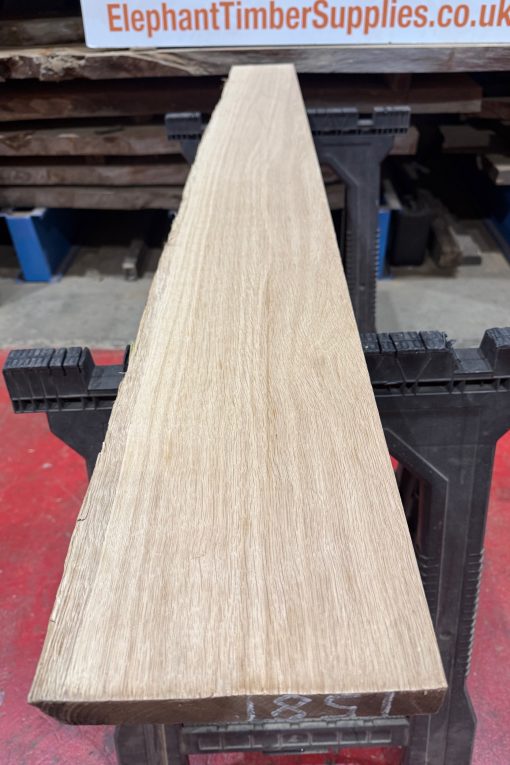 Alternative view of Oak #308