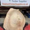 Elm #311
