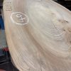 Elm #311