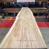 Elm 315